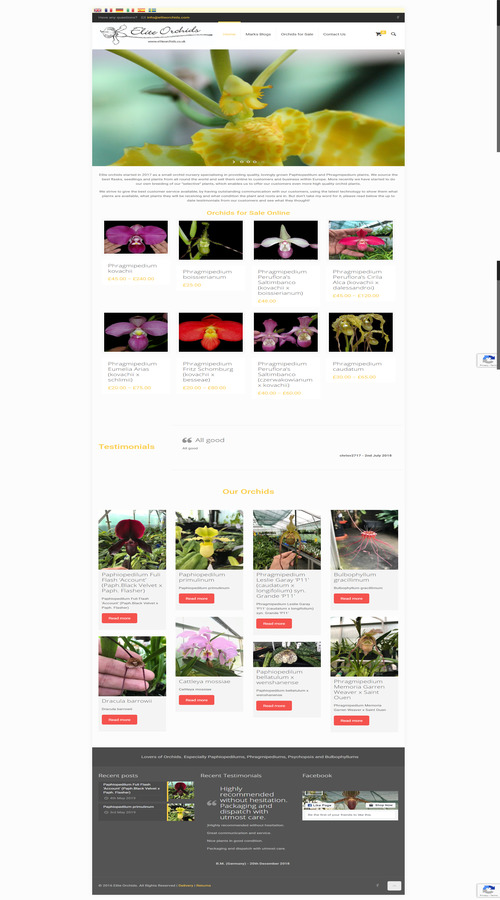 Elite Orchids screenshot 1